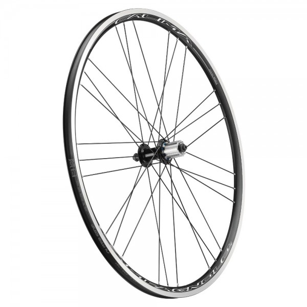 Campag Calima Campy Rear