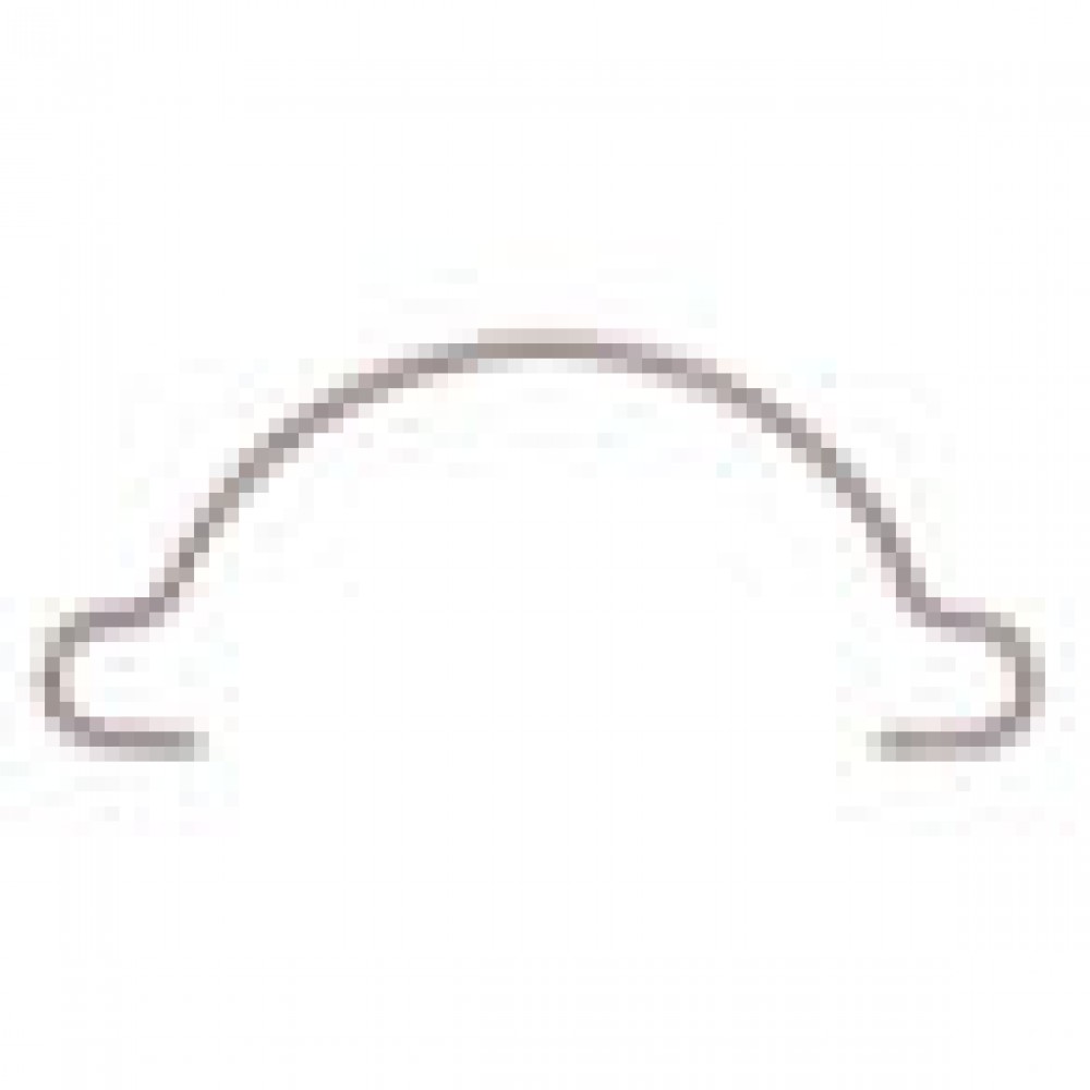 Campag Safety Spring