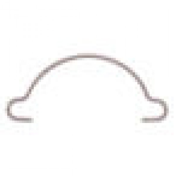 Campag Safety Spring