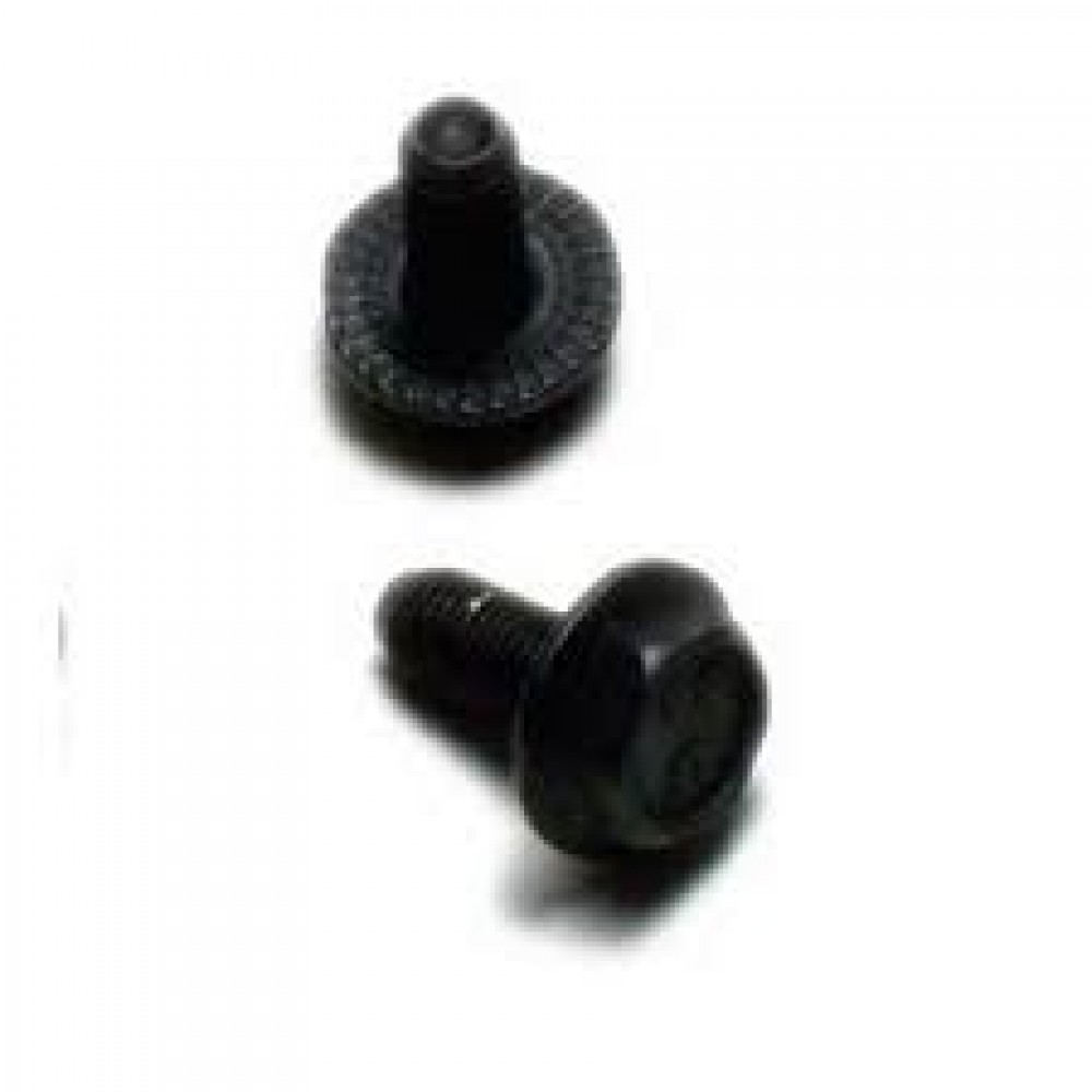 BB Bolt (10pc)