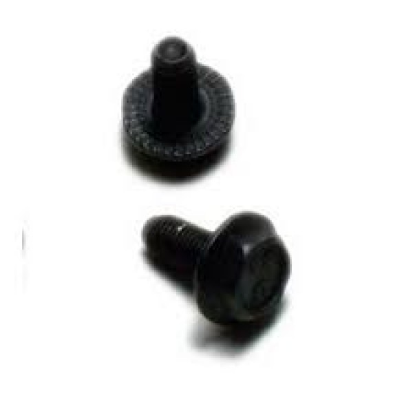 BB Bolt (10pc)