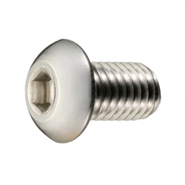 Disc Rotor Bolts (50pcs)