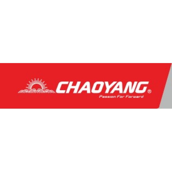 Chaoyang 14x1.95 Tyre for E Bike