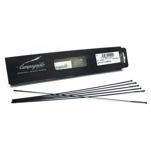 Campag Bora 50 Front Spoke (4pk)