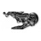Campag  Record 12sp R/D