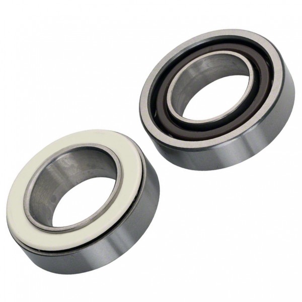 Campag RE-100 Hub Bearing Kit