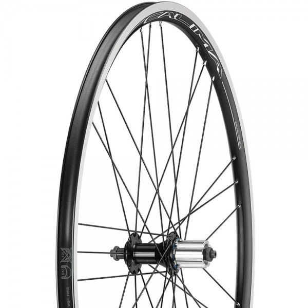 Campag Calima Shimano Rear