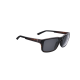 BBB BSG-6607 Spectre Glasses Matt Tortoise/Silver Mlc